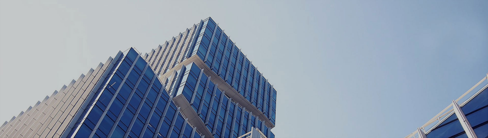 �������š�yl(�й���)�ٷ���վ