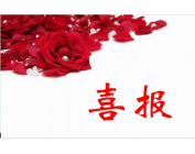 �������š�yl(�й���)�ٷ���վ