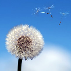 �������š�yl(�й���)�ٷ���վ