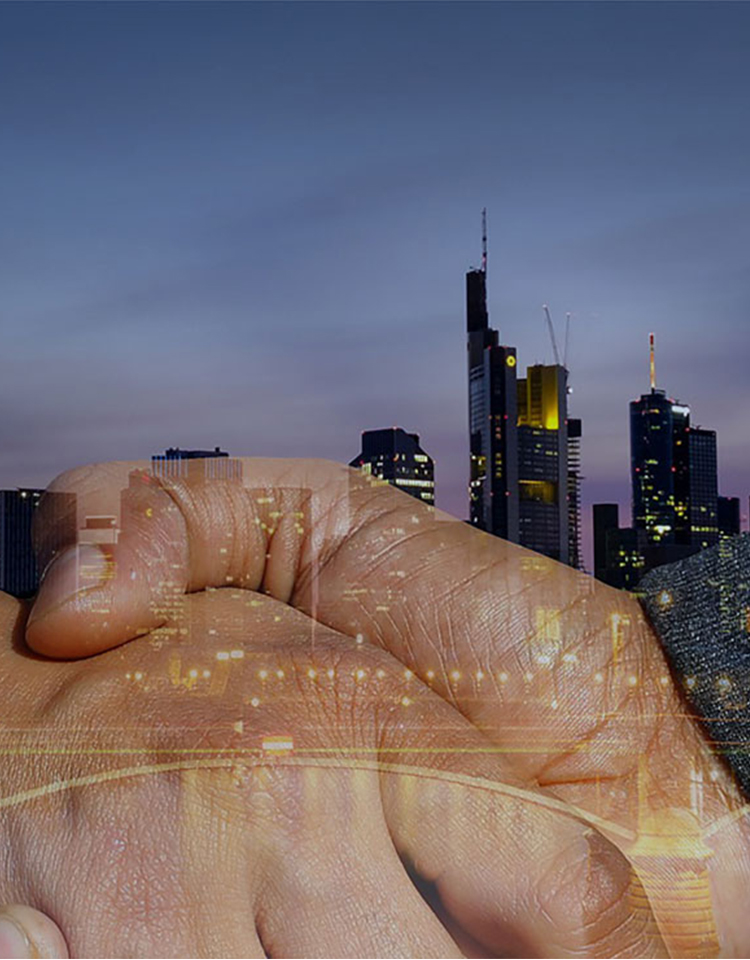 �������š�yl(�й���)�ٷ���վ